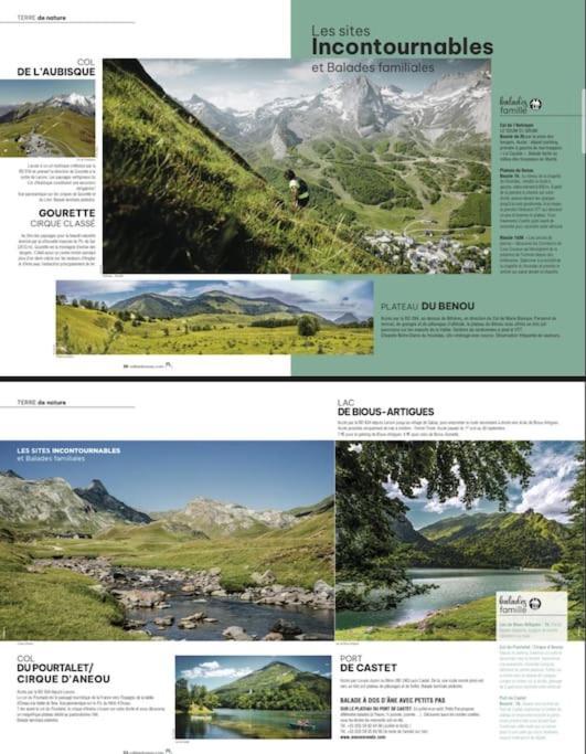 L'Escapade Montagneuse Daire Eaux-Bonnes Dış mekan fotoğraf