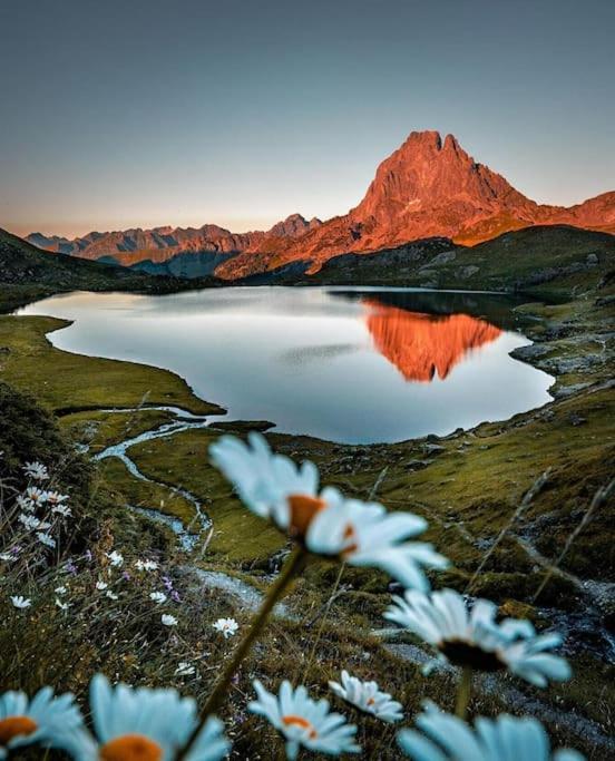 L'Escapade Montagneuse Daire Eaux-Bonnes Dış mekan fotoğraf
